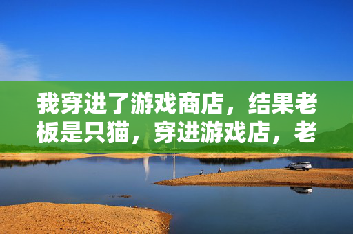 我穿进了游戏商店，结果老板是只猫，穿进游戏店，老板竟是只猫