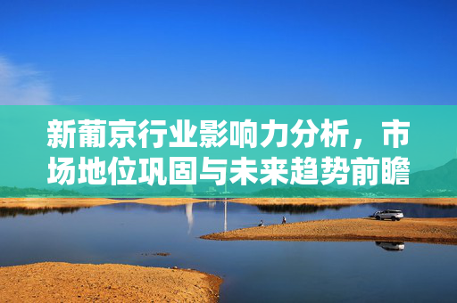 新葡京行业影响力分析，市场地位巩固与未来趋势前瞻，新葡京行业影响力巩固与未来趋势前瞻