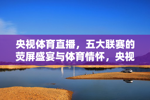 央视体育直播,五大联赛的荧屏盛宴与体育情怀,央视体育直播,五大联赛的荧屏盛宴与体育情怀