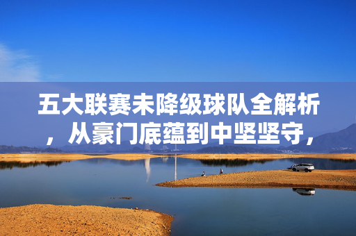 五大联赛未降级球队全解析,从豪门底蕴到中坚坚守,五大联赛未降级球队解析,从豪门底蕴到中坚坚守