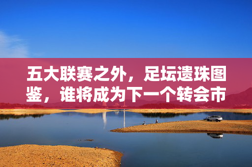 五大联赛之外,足坛遗珠图鉴,谁将成为下一个转会市场的香饽饽?五大联赛外足坛遗珠,谁成转会市场香饽饽