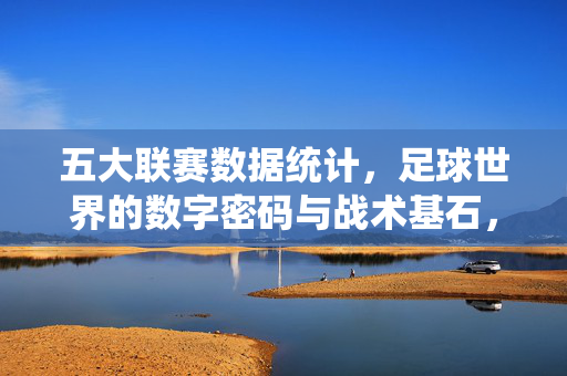 五大联赛数据统计，足球世界的数字密码与战术基石，五大联赛数据统计，解码足球战术的数字基石