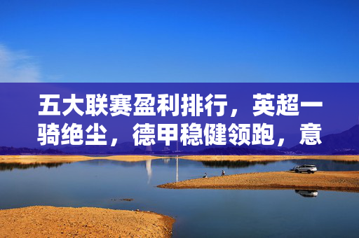 五大联赛盈利排行，英超一骑绝尘，德甲稳健领跑，意甲法甲迎新机遇，五大联赛盈利排行，英超一骑绝尘，德甲稳健领跑，意甲法甲迎新机遇