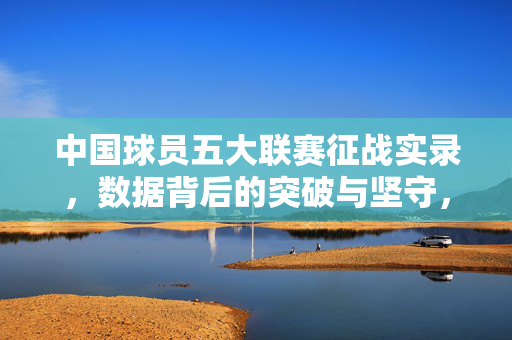 中国球员五大联赛征战实录,数据背后的突破与坚守,中国球员五大联赛征战实录,数据背后的突破与坚守