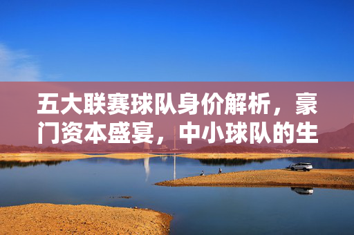 五大联赛球队身价解析，豪门资本盛宴，中小球队的生存之道，五大联赛身价解析，豪门资本盛宴与中小球队生存之道