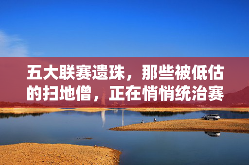 五大联赛遗珠，那些被低估的扫地僧，正在悄悄统治赛场