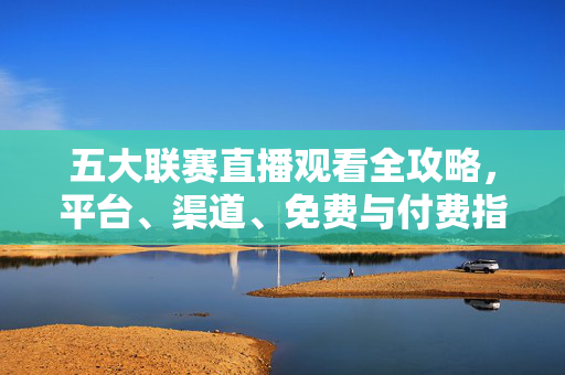 五大联赛直播观看全攻略,平台、渠道、免费与付费指南,五大联赛直播观看全攻略,平台、渠道、免费与付费指南