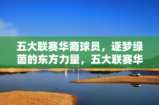 五大联赛华裔球员，逐梦绿茵的东方力量，五大联赛华裔球员，逐梦绿茵的东方力量