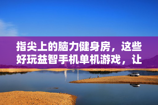 指尖上的脑力健身房，这些好玩益智手机单机游戏，让你越玩越聪明
