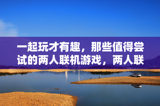 一起玩才有趣，那些值得尝试的两人联机游戏，两人联机，共乐时光