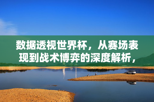 数据透视世界杯，从赛场表现到战术博弈的深度解析，数据透视世界杯，赛场表现与战术博弈深度解析