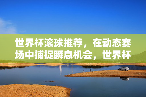 世界杯滚球推荐，在动态赛场中捕捉瞬息机会，世界杯滚球，动态赛场瞬息机会捕捉