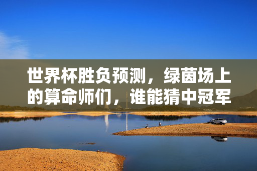 世界杯胜负预测，绿茵场上的算命师们，谁能猜中冠军密码？世界杯预测，绿茵场算命师谁能猜透冠军密码？