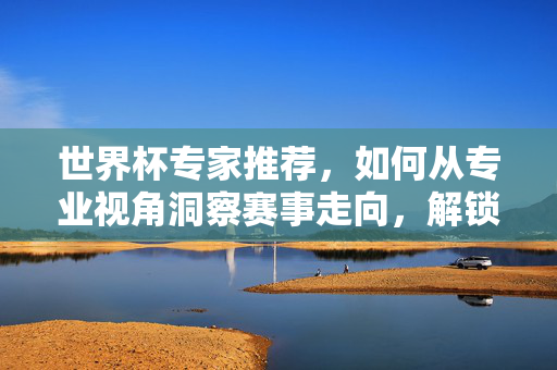 世界杯专家推荐，如何从专业视角洞察赛事走向，解锁观赛新姿势？世界杯专家推荐，专业视角洞察赛事，解锁观赛新姿势