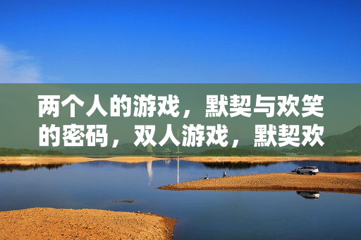两个人的游戏，默契与欢笑的密码，双人游戏，默契欢笑的密码