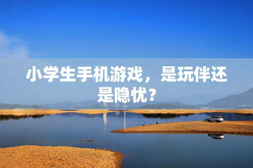 小学生手机游戏，是玩伴还是隐忧？