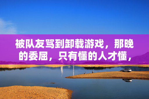 被队友骂到卸载游戏，那晚的委屈，只有懂的人才懂，被队友骂到卸载游戏，那份委屈只有懂的人才懂