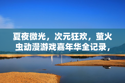 夏夜微光，次元狂欢，萤火虫动漫游戏嘉年华全记录，夏夜微光·次元狂欢，萤火虫动漫游戏嘉年华全记录