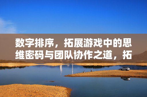 数字排序，拓展游戏中的思维密码与团队协作之道，拓展游戏中的数字排序，思维密码与团队协作之道