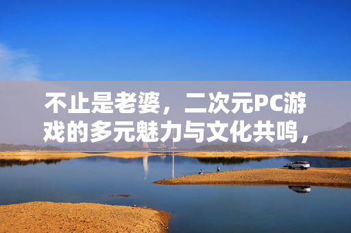 不止是老婆，二次元PC游戏的多元魅力与文化共鸣，二次元PC游戏，多元魅力与文化共鸣，不止于老婆
