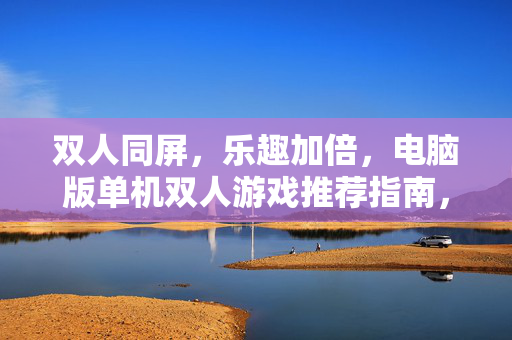 双人同屏，乐趣加倍，电脑版单机双人游戏推荐指南，同屏双倍乐趣，电脑版单机双人游戏推荐