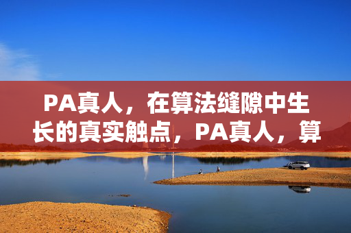 PA真人，在算法缝隙中生长的真实触点，PA真人，算法缝隙中生长的真实触点