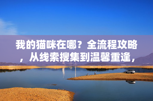 我的猫咪在哪？全流程攻略，从线索搜集到温馨重逢，我的猫咪在哪？全流程寻猫攻略，从线索搜集到温馨重逢