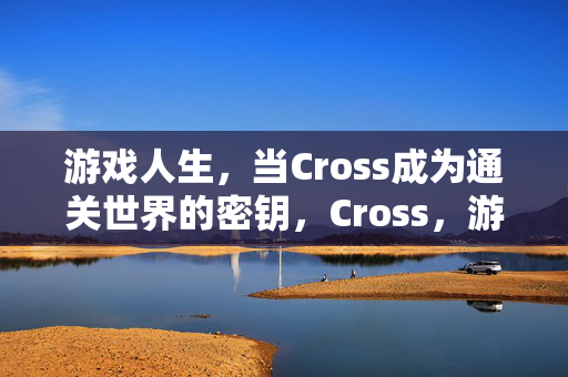 游戏人生，当Cross成为通关世界的密钥，Cross，游戏人生的通关密钥