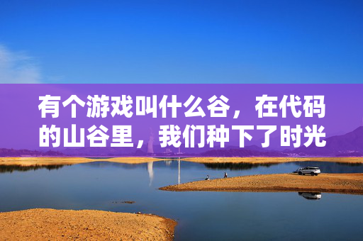 有个游戏叫什么谷，在代码的山谷里，我们种下了时光，代码山谷，种下时光