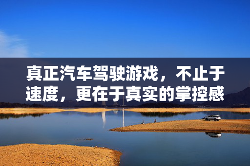真正汽车驾驶游戏,不止于速度,更在于真实的掌控感,真实驾驶感,不止于速度