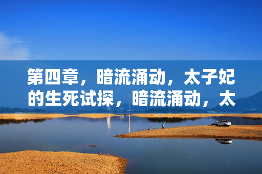第四章，暗流涌动，太子妃的生死试探，暗流涌动，太子妃生死试探