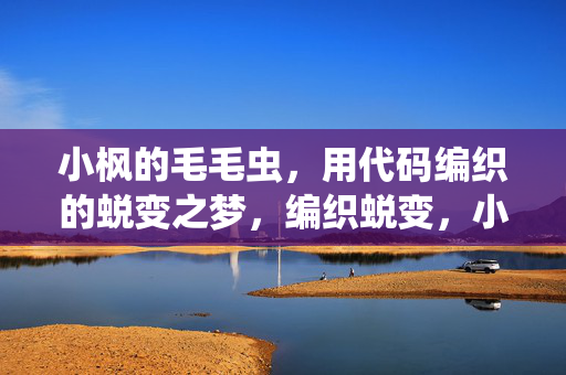 小枫的毛毛虫，用代码编织的蜕变之梦，编织蜕变，小枫的代码毛毛虫