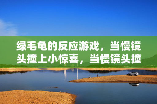 绿毛龟的反应游戏，当慢镜头撞上小惊喜，当慢镜头撞上小惊喜，绿毛龟的反应游戏