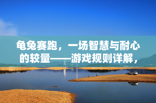 龟兔赛跑，一场智慧与耐心的较量——游戏规则详解，龟兔赛跑，智慧与耐心的游戏规则详解