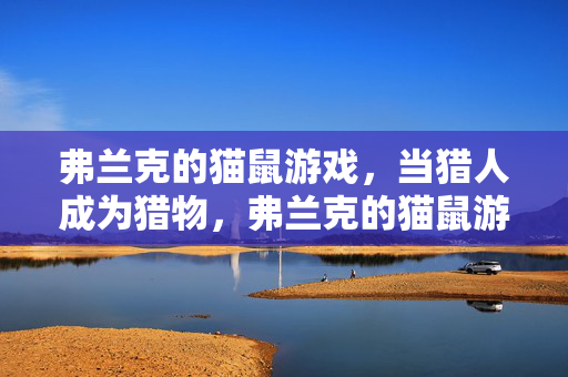 弗兰克的猫鼠游戏，当猎人成为猎物，弗兰克的猫鼠游戏，当猎人成为猎物