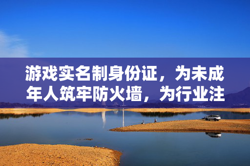 游戏实名制身份证，为未成年人筑牢防火墙，为行业注入正能量，游戏实名制，为未成年人筑牢防火墙 为行业注入正能量