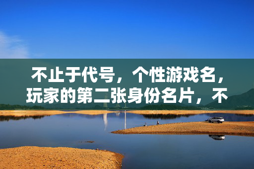 不止于代号，个性游戏名，玩家的第二张身份名片，不止代号，个性游戏名，玩家的第二张身份名片