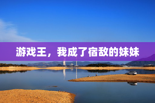 游戏王，我成了宿敌的妹妹