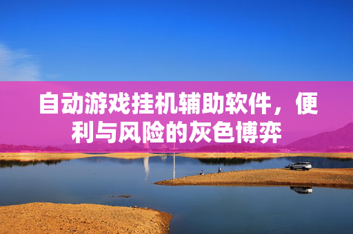 自动游戏挂机辅助软件，便利与风险的灰色博弈