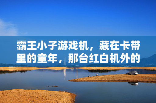 霸王小子游戏机，藏在卡带里的童年，那台红白机外的江湖，霸王小子，卡带里的童年江湖