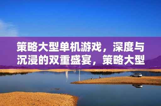 策略大型单机游戏，深度与沉浸的双重盛宴，策略大型单机，深度与沉浸的双重盛宴