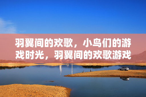 羽翼间的欢歌，小鸟们的游戏时光，羽翼间的欢歌游戏时光