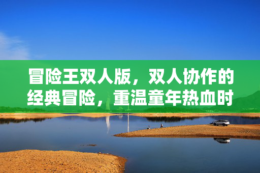冒险王双人版，双人协作的经典冒险，重温童年热血时光，冒险王双人版，双人协作重温童年经典热血