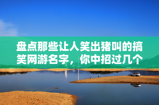 盘点那些让人笑出猪叫的搞笑网游名字，你中招过几个？