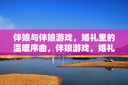 伴娘与伴娘游戏，婚礼里的温暖序曲，伴娘游戏，婚礼里的温暖序曲