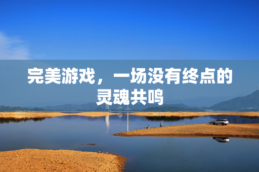 完美游戏，一场没有终点的灵魂共鸣