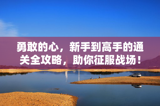 勇敢的心，新手到高手的通关全攻略，助你征服战场！
