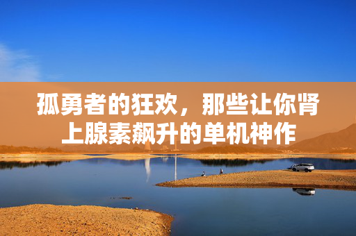 孤勇者的狂欢，那些让你肾上腺素飙升的单机神作