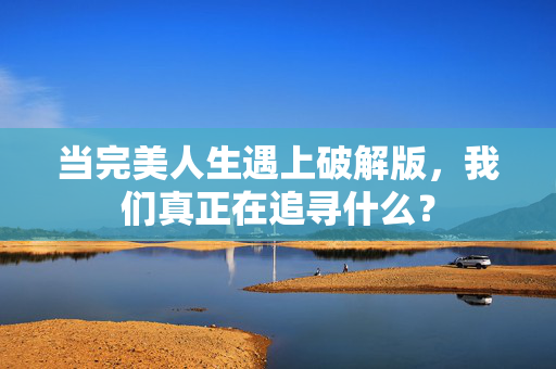 当完美人生遇上破解版，我们真正在追寻什么？