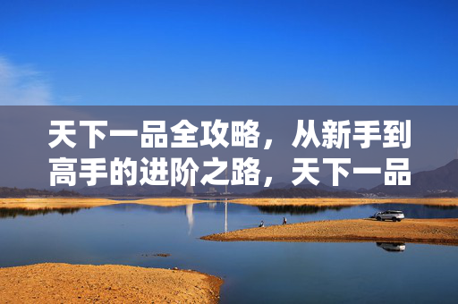 天下一品全攻略，从新手到高手的进阶之路，天下一品全攻略，从新手到高手的进阶之路